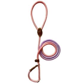 Colorful Durable Bold Nylon Pet Hand Holding Rope (Option: Light Purple Pink-S)