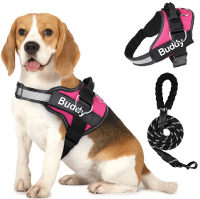 Pet Clothing Dog Couple Chest Strap Rope (Option: Pink-XL)